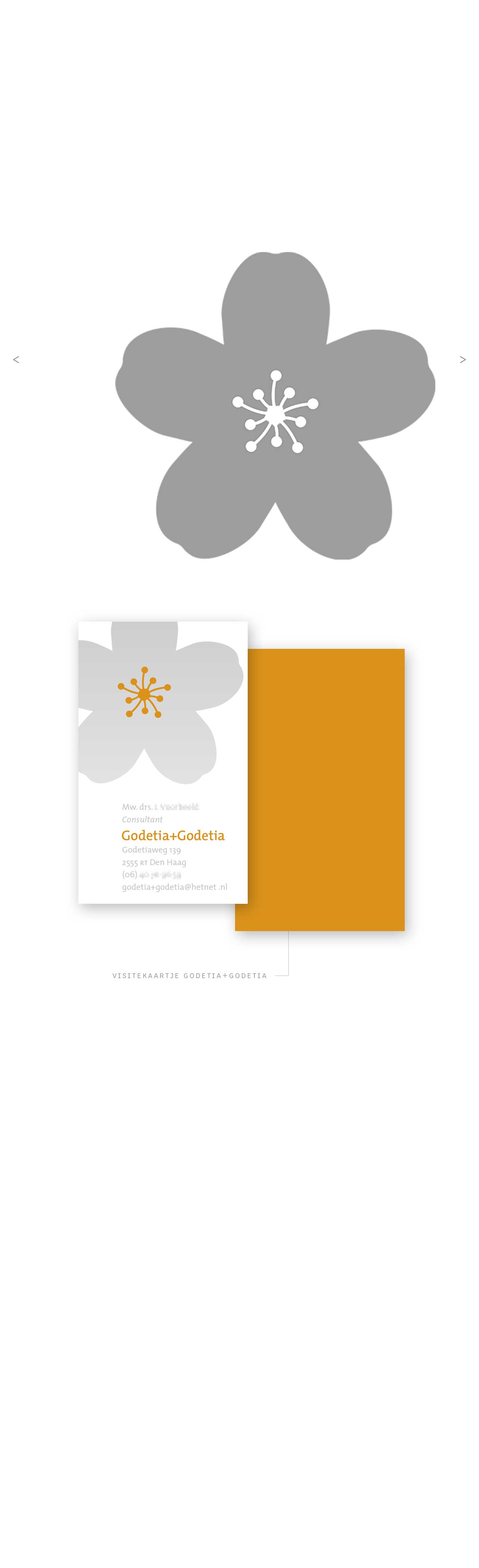 godetia